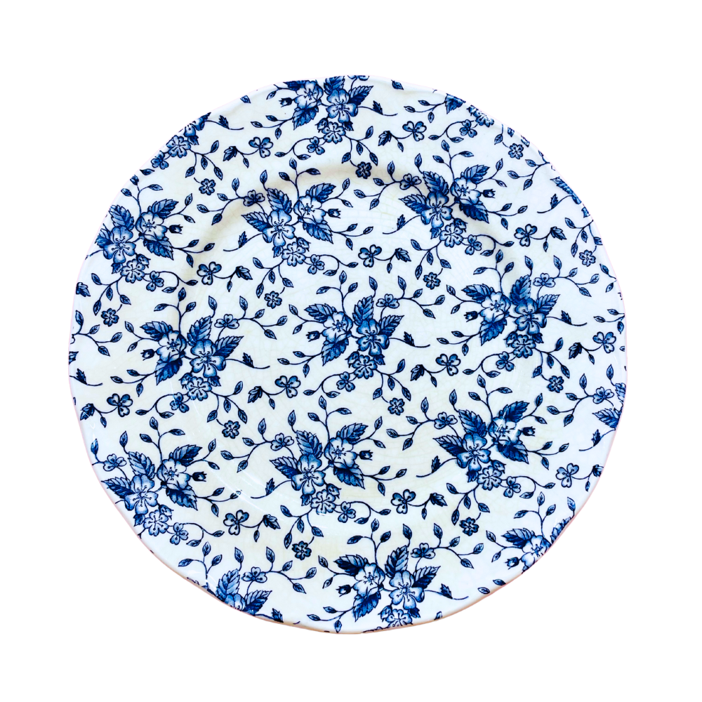 Assiettes Vintage Royal Tudor "Bouquet"