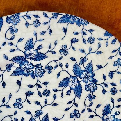 Assiettes Vintage Royal Tudor "Bouquet"