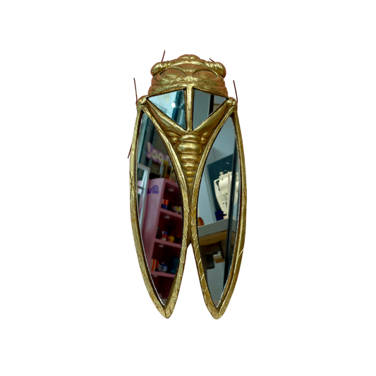 Miroire cigale artisanal !